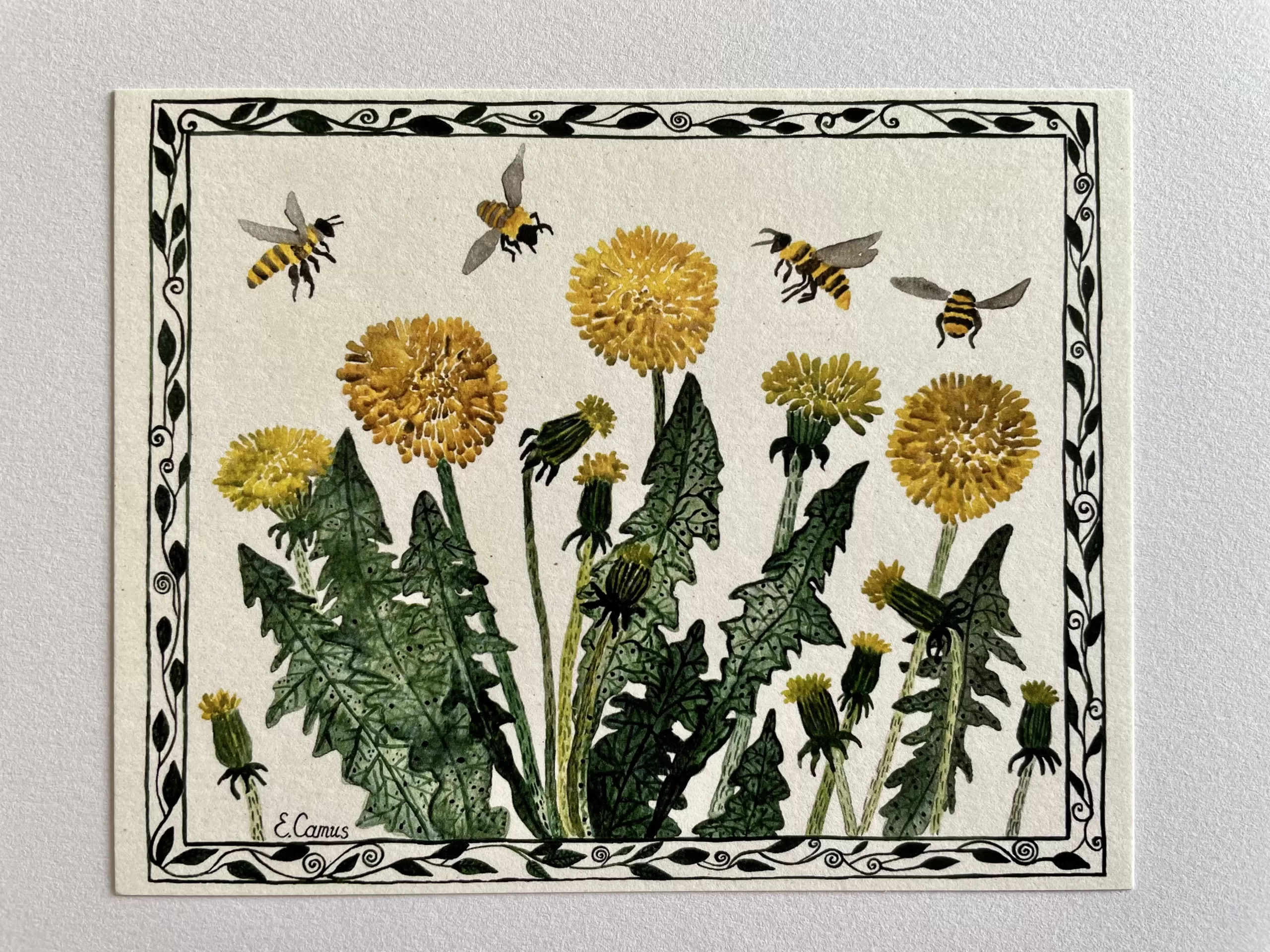 Dandelions art print