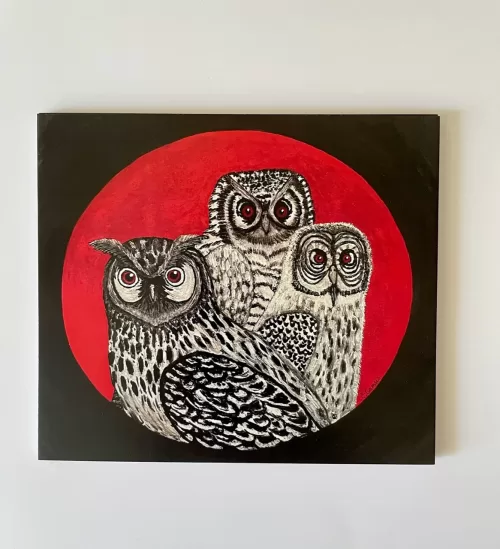 Owls greetings card