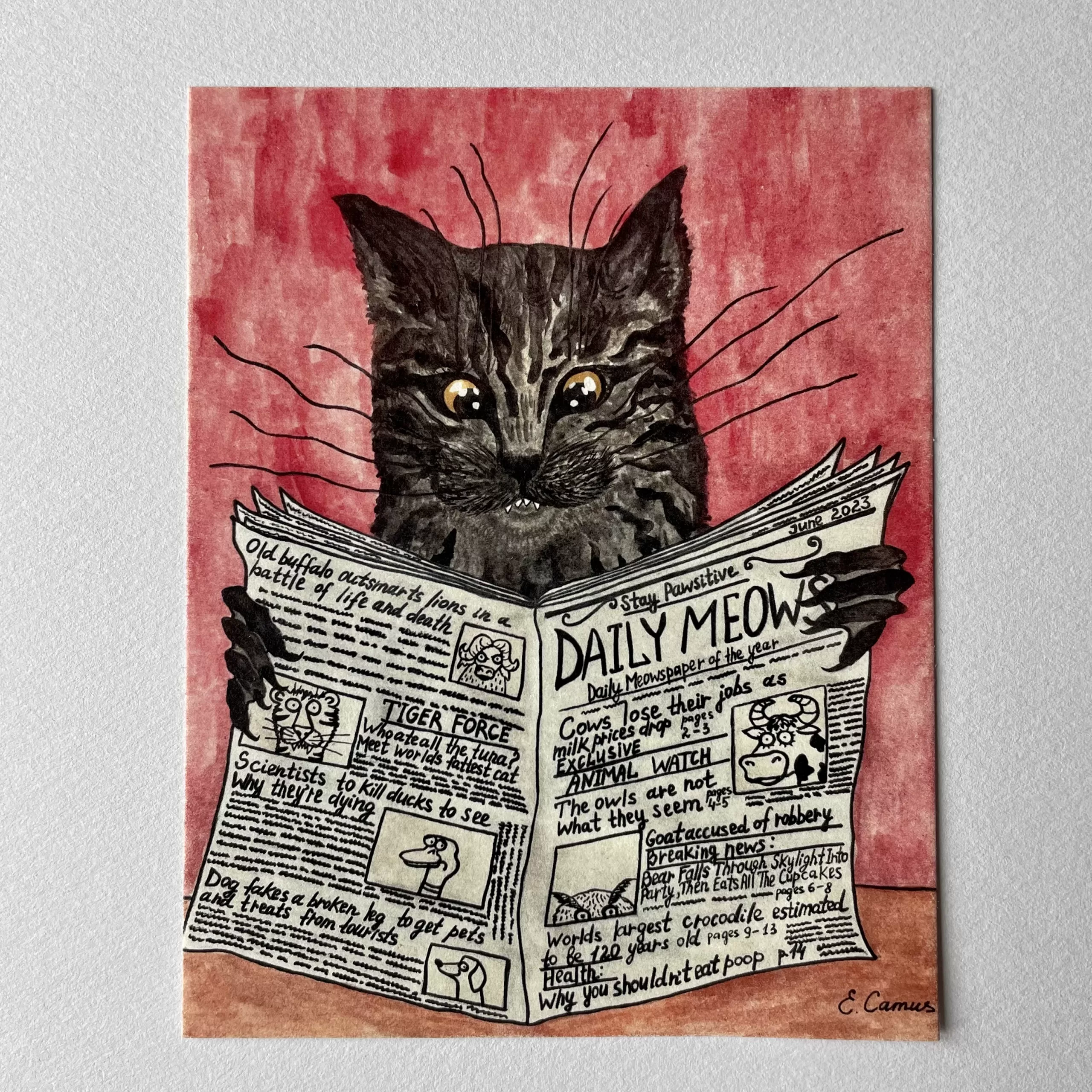 Daily meows art print