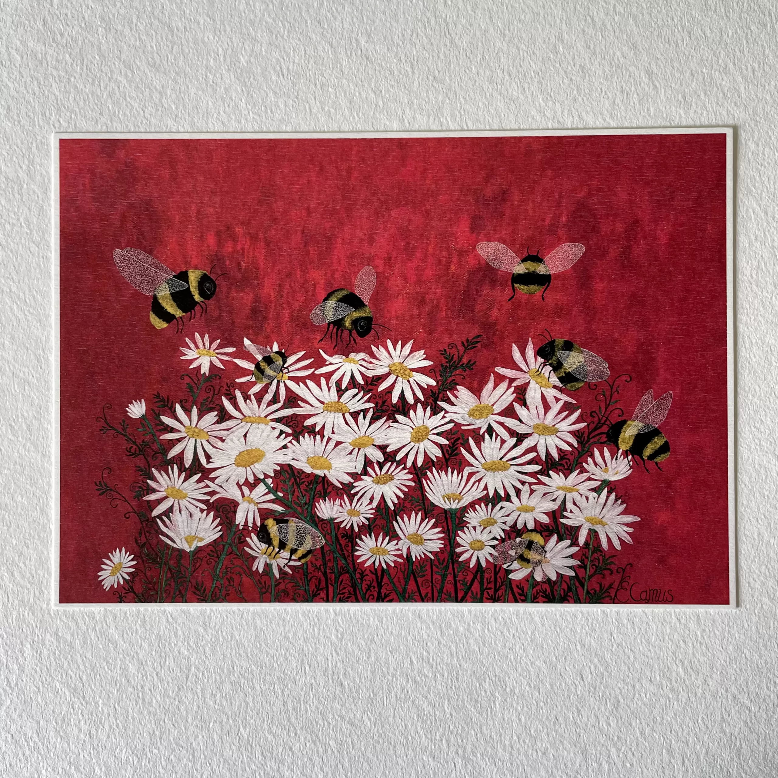 Bumblebees and daisies art print