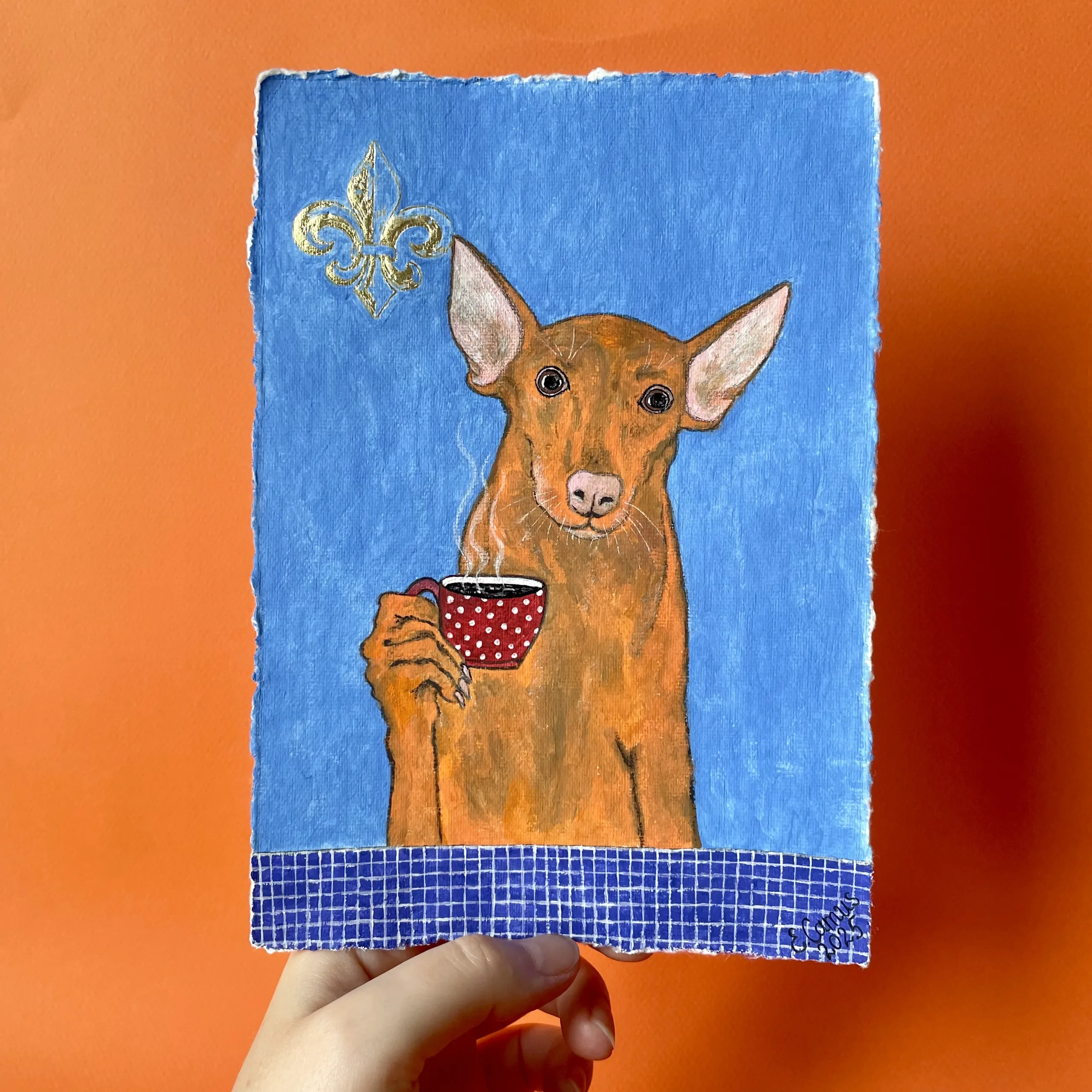 podenco dog portrait