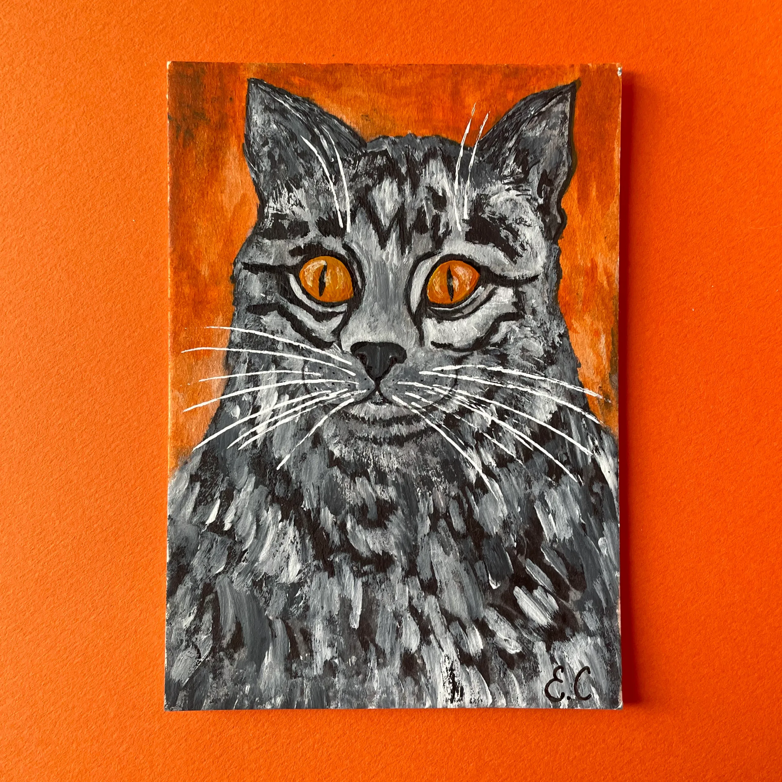 cat little portrait