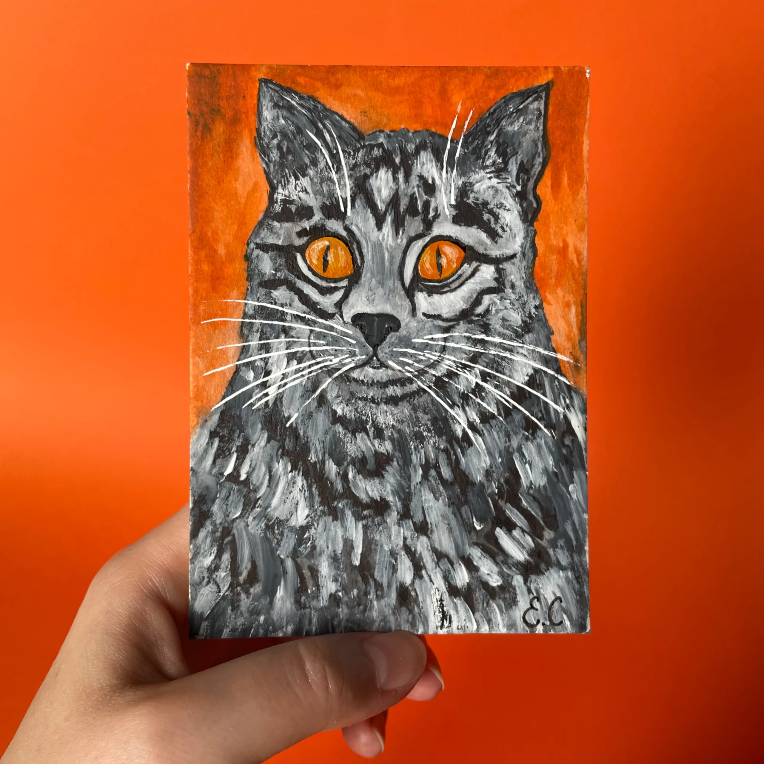 cat little portrait