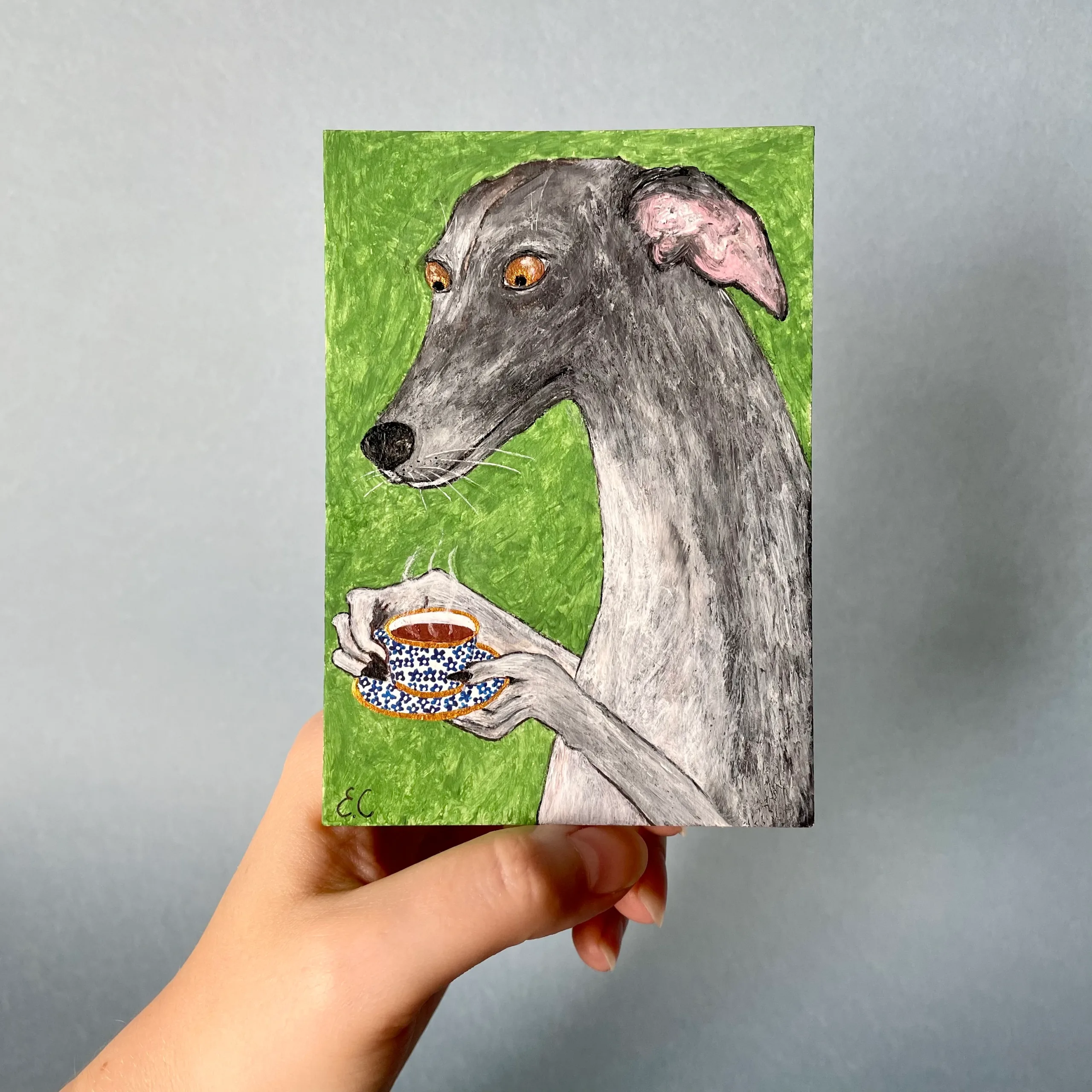 italian greyhound little portrait
