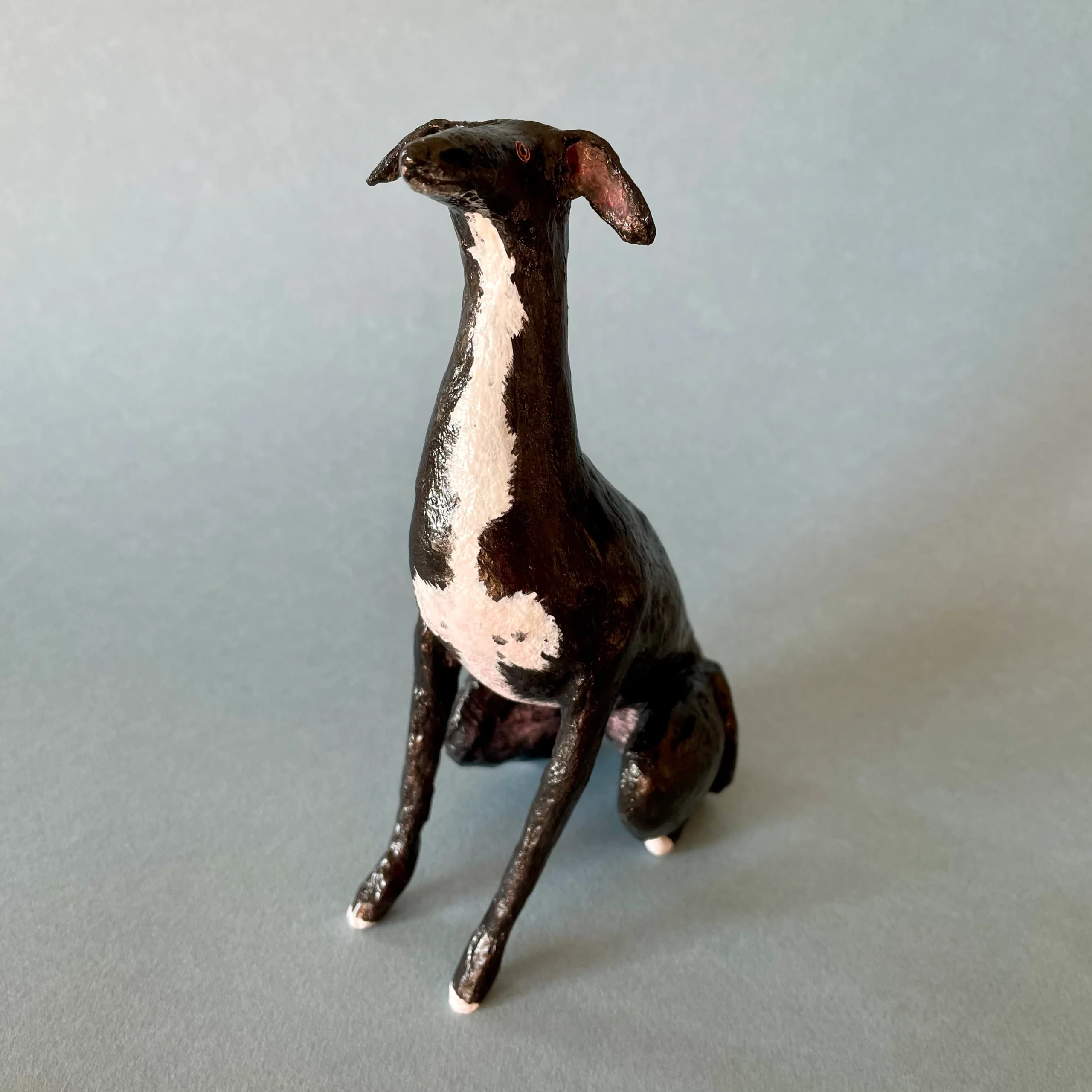 black greyhound