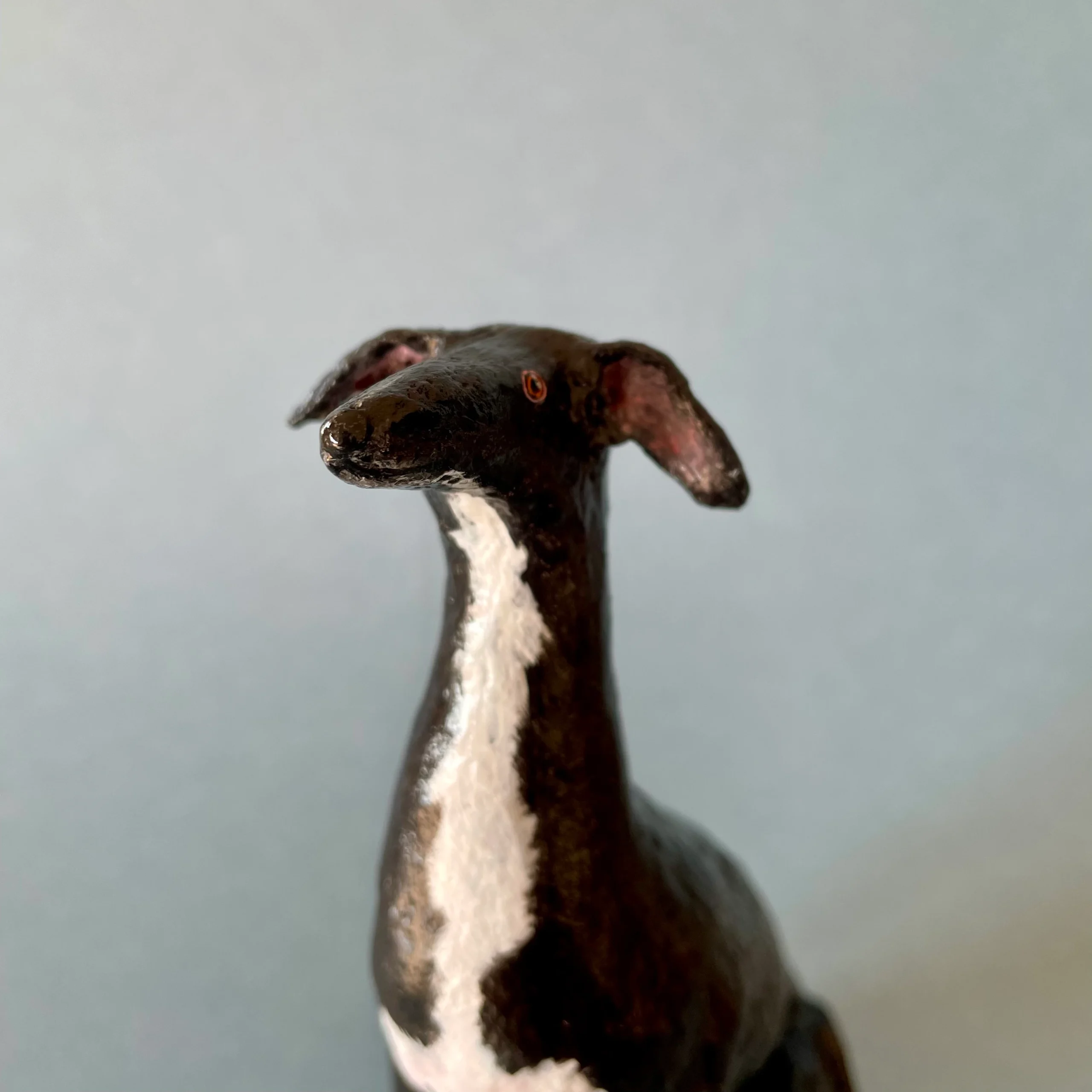 black greyhound