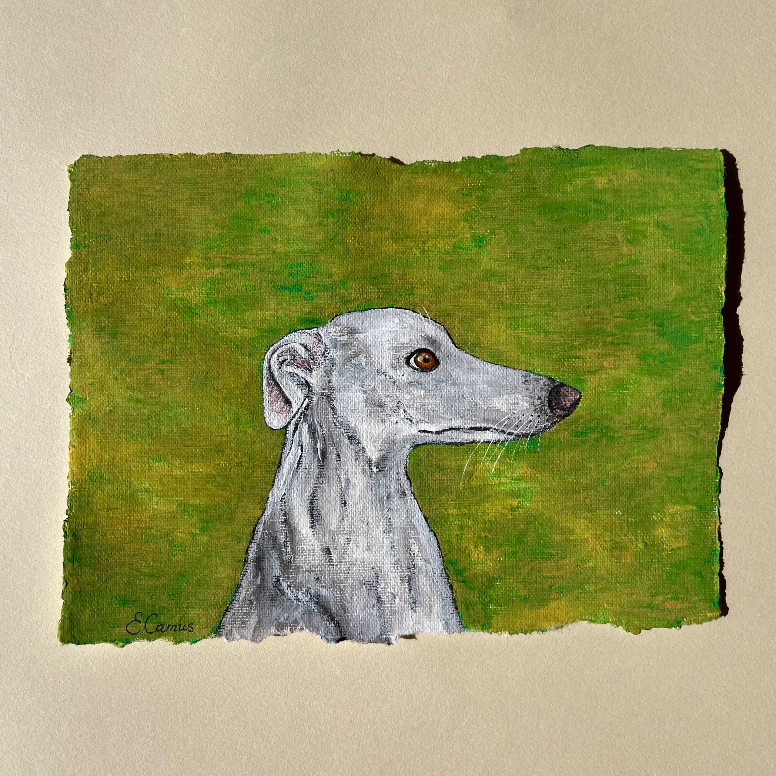 white italian greyhound painting