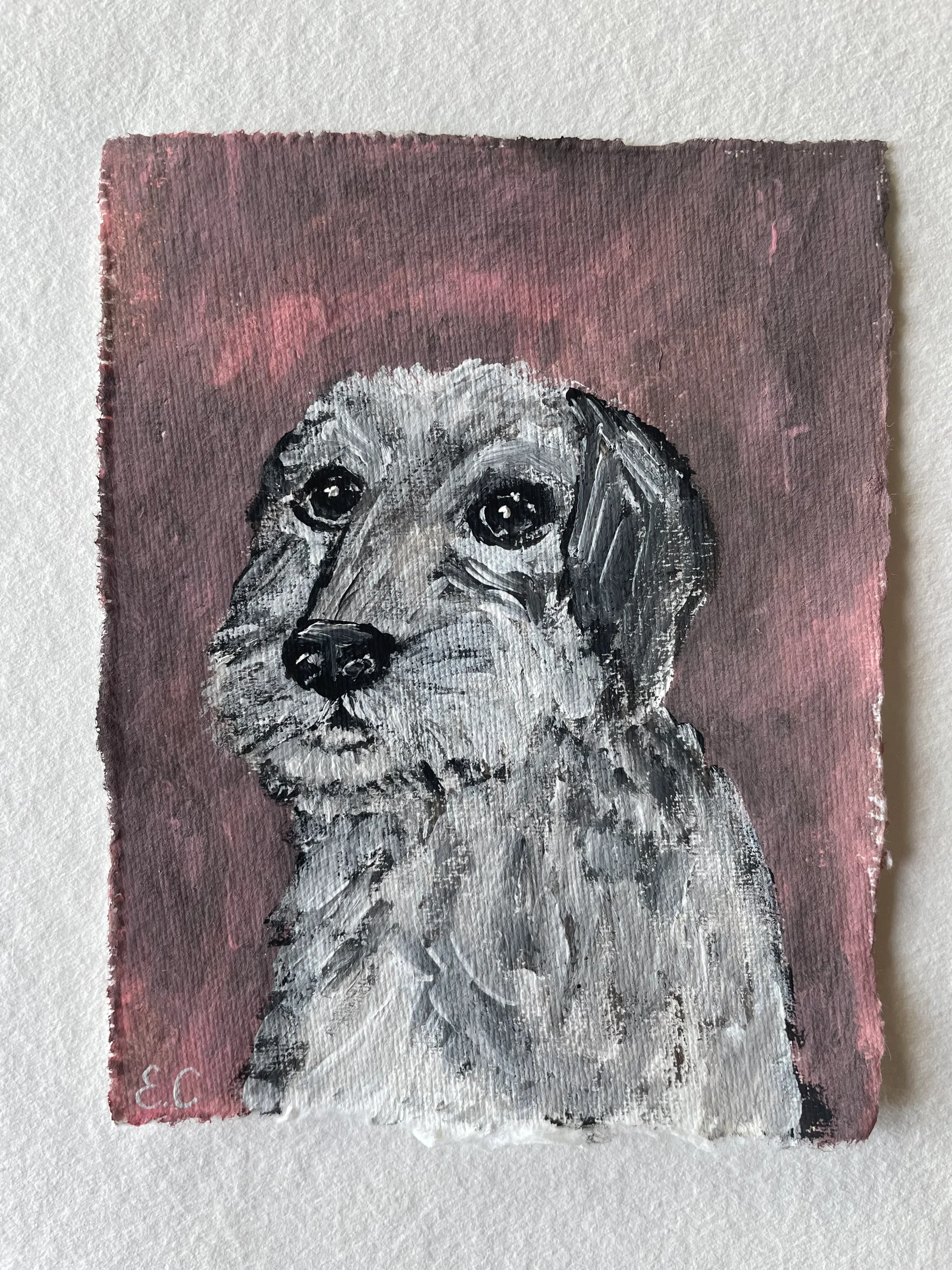 grey dog original painting